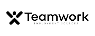 TEAMWORK EMPLOYMENT SOURCES logo