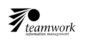 TEAMWORK INFORMATION MANAGEMENT logo