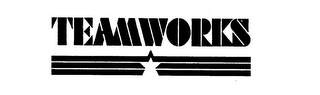 TEAMWORKS logo