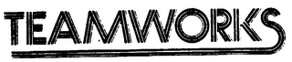 TEAMWORKS logo