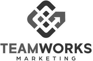 TEAMWORKS MARKETING logo
