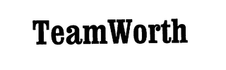 TEAMWORTH logo