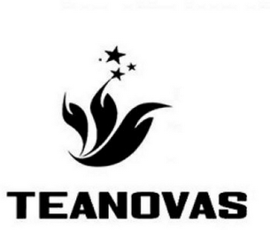 TEANOVAS logo