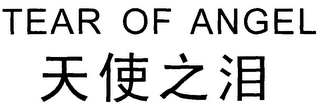 TEAR OF ANGEL logo