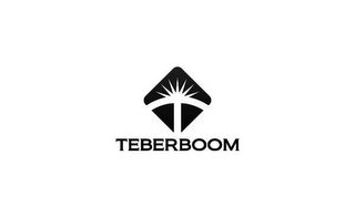 TEBERBOOM logo