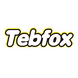 TEBFOX logo