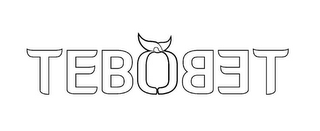 TEBOTEBO logo
