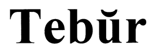 TEBUR logo