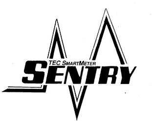 TEC SMARTMETER SENTRY logo