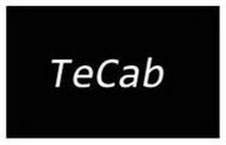TECAB logo