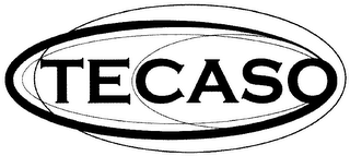 TECASO logo