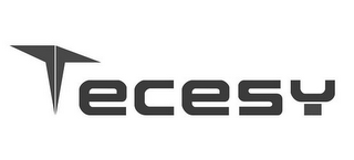 TECESY logo