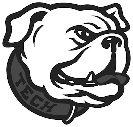 TECH logo