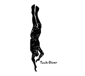 TECH-DIVER logo
