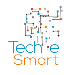 TECH E SMART logo