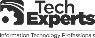 TECH EXPERTS INFORMATION TECHNOLOGY PROFESSIONALS logo