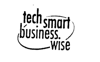 TECH SMART BUSINESS WISE logo