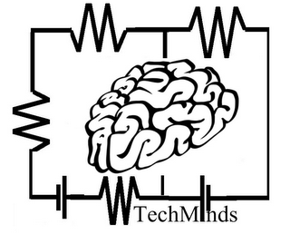 TECHMINDS logo