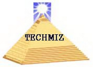 TECHMIZ logo