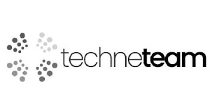 TECHNETEAM logo