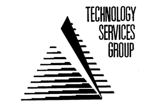 TECHNOLOGY SERVICES GROUP logo