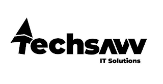 TECHSAVV IT SOLUTIONS logo