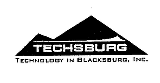 TECHSBURG TECHNOLOGY IN BLACKBURG, INC. logo