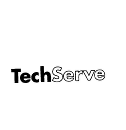 TECHSERVE logo