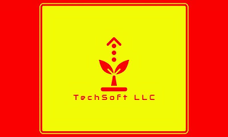 TECHSOFT LLC logo