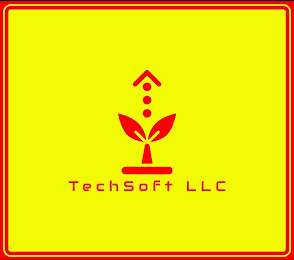 TECHSOFT LLC logo