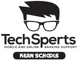 TECHSPERTS MOBILE AND ONLINE BANKING SUPPORT KERN SCHOOLS logo