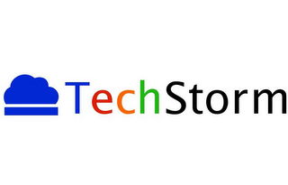 TECHSTORM logo