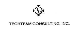 TECHTEAM CONSULTING, INC. logo