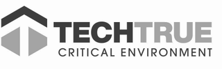 TECHTRUE CRITICAL ENVIRONMENT logo