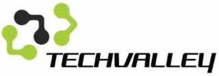 TECHVALLEY logo
