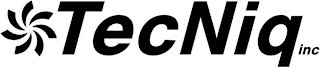TECNIQ INC logo