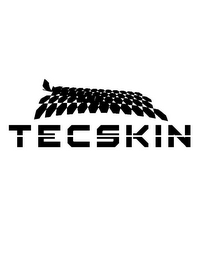 TECSKIN logo