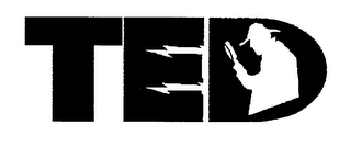 TED logo