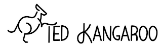 TED KANGAROO logo