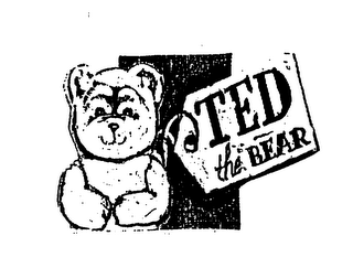 TED THE BEAR logo