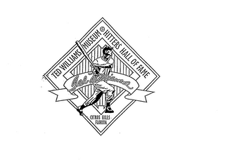 TED WILLIAMS MUSEUM HITTERS HALL OF FAME CITRUS HILLS FLORIDA logo