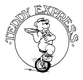 TEDDY EXPRESS logo