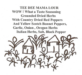 TEE DEE MAMA LOUR WOW! WHAT A TASTE SEASONING GROUND DRIED HERBS WITH COUNTRY DRIED RED PEPPERS AND YELLOW SCOTCH BONNET PEPPERS, GARLIC, ONION, OREGON HERBS ITALIAN HERBS, SALT, BLACK PEPPER logo