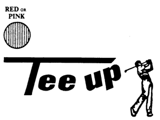 TEE UP logo