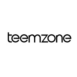 TEEMZONE logo