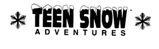 TEEN SNOW ADVENTURES logo