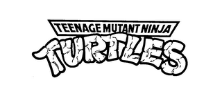 TEENAGE MUTANT NINJA TURTLES logo