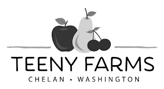 TEENY FARMS CHELAN · WASHINGTON logo