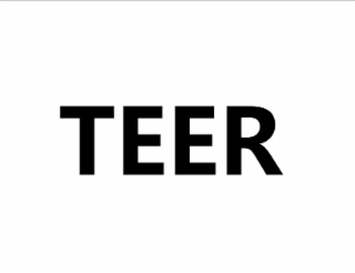 TEER logo