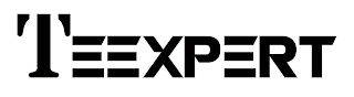 TEEXPERT logo